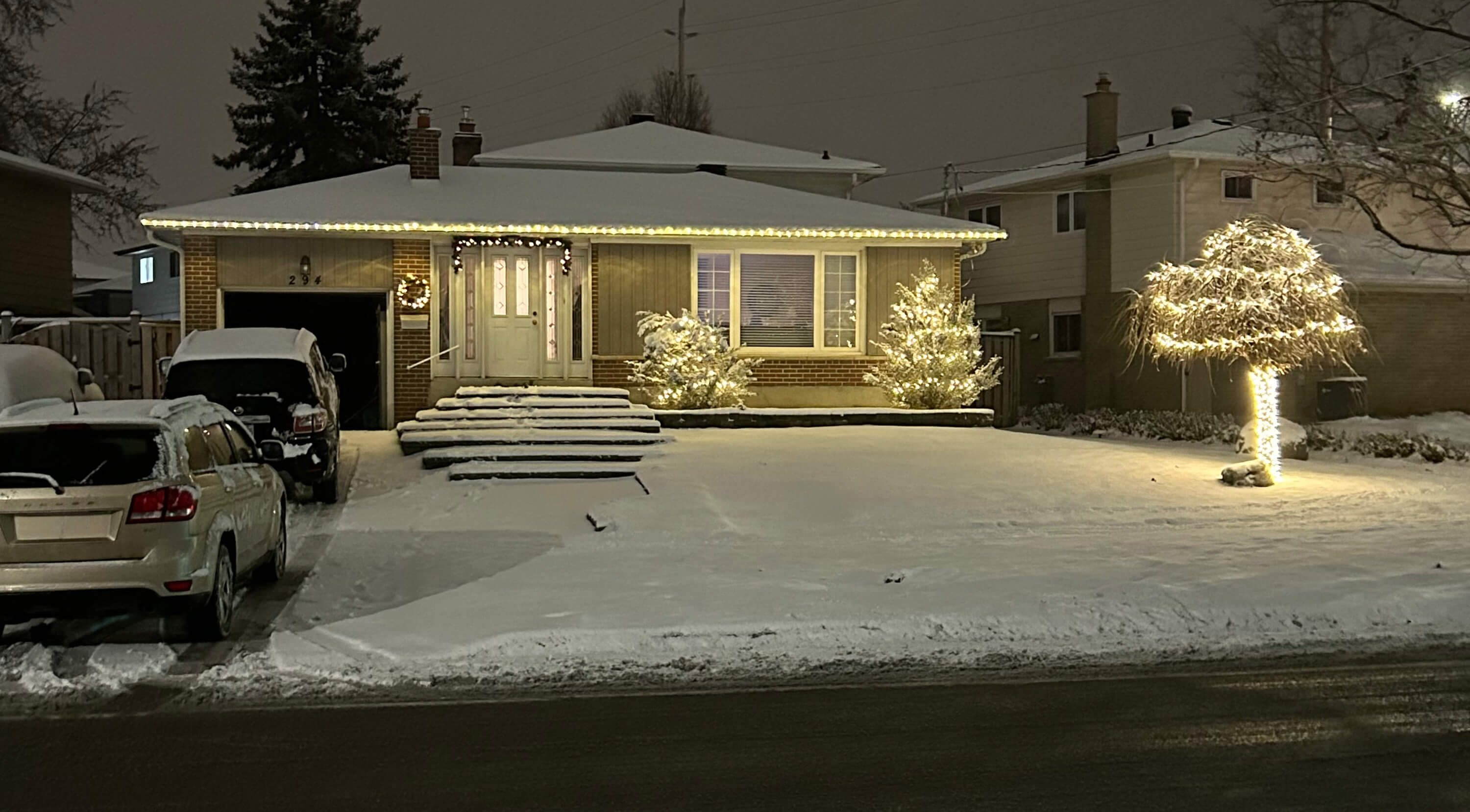 Roofline Christmas lights installation and a tree wrap in Georgetown img